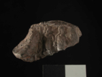 V15d9132 A1.293 M909 gg si.jpg